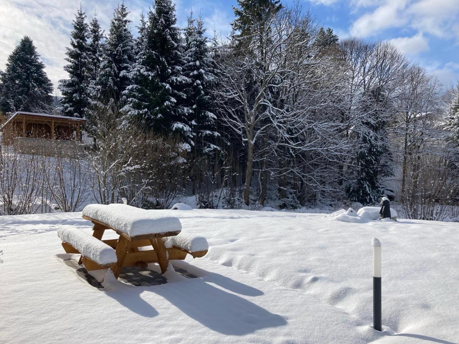 La Cabane Des Ecureuils Ксонрю-Лонжмер Екстер'єр фото